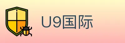 U9国际 Logo
